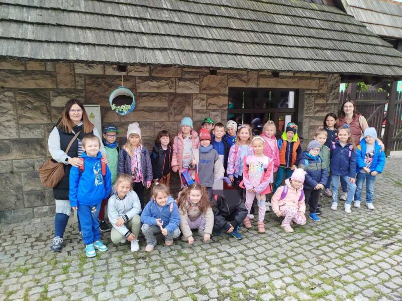 pingwiny w skansenie 3